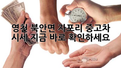 영천 북안면 자포리 중고차 시세, 지금 바로 확인하세요! 🚗💨